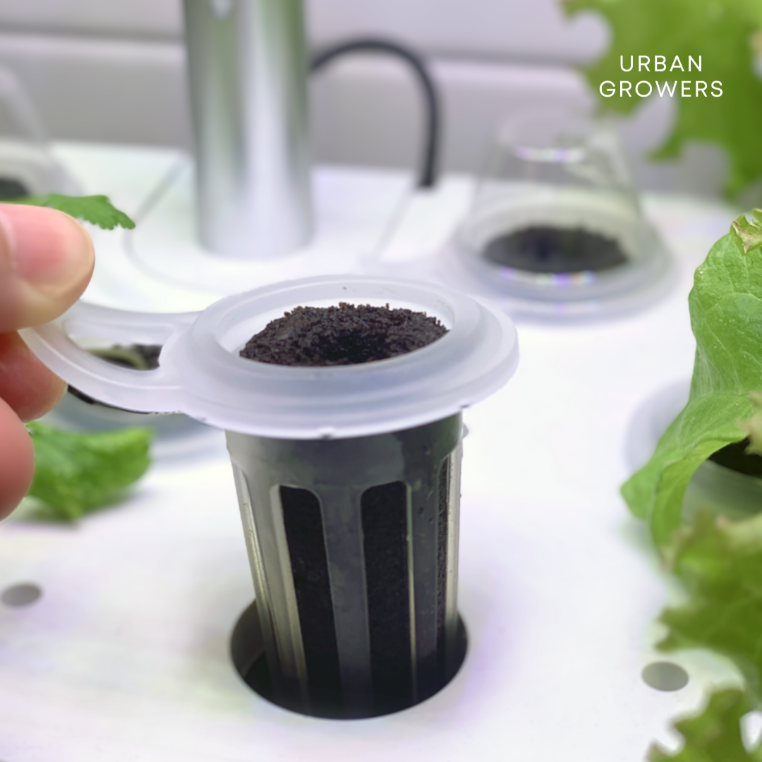 Dyrkningskurve 12-pak