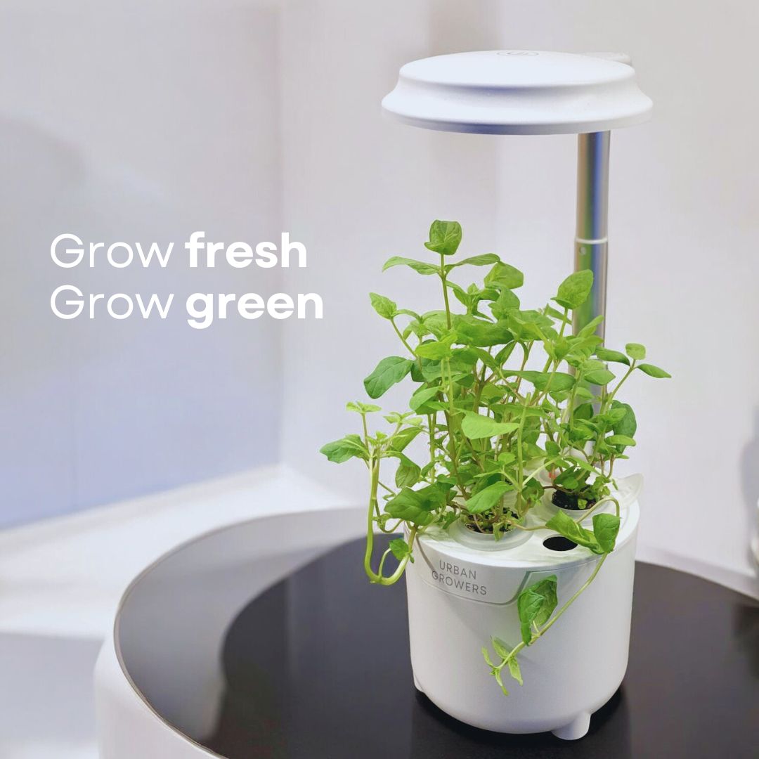 Urban Oasis Mini-Y03