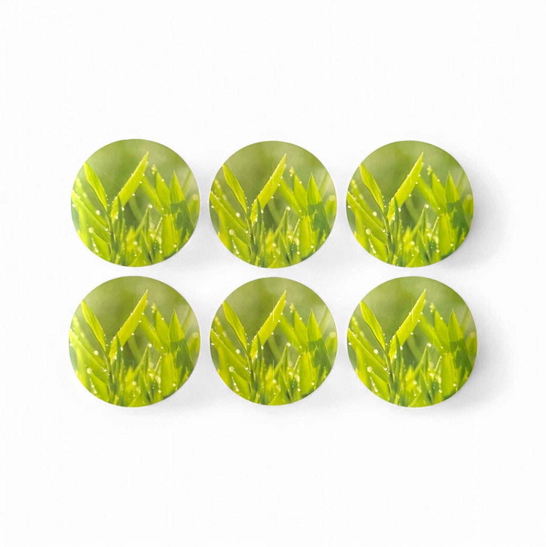 Dyrkningsstikbeskyttelse 36-pak