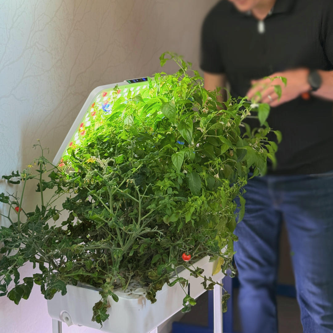 Urban Oasis HydroLush